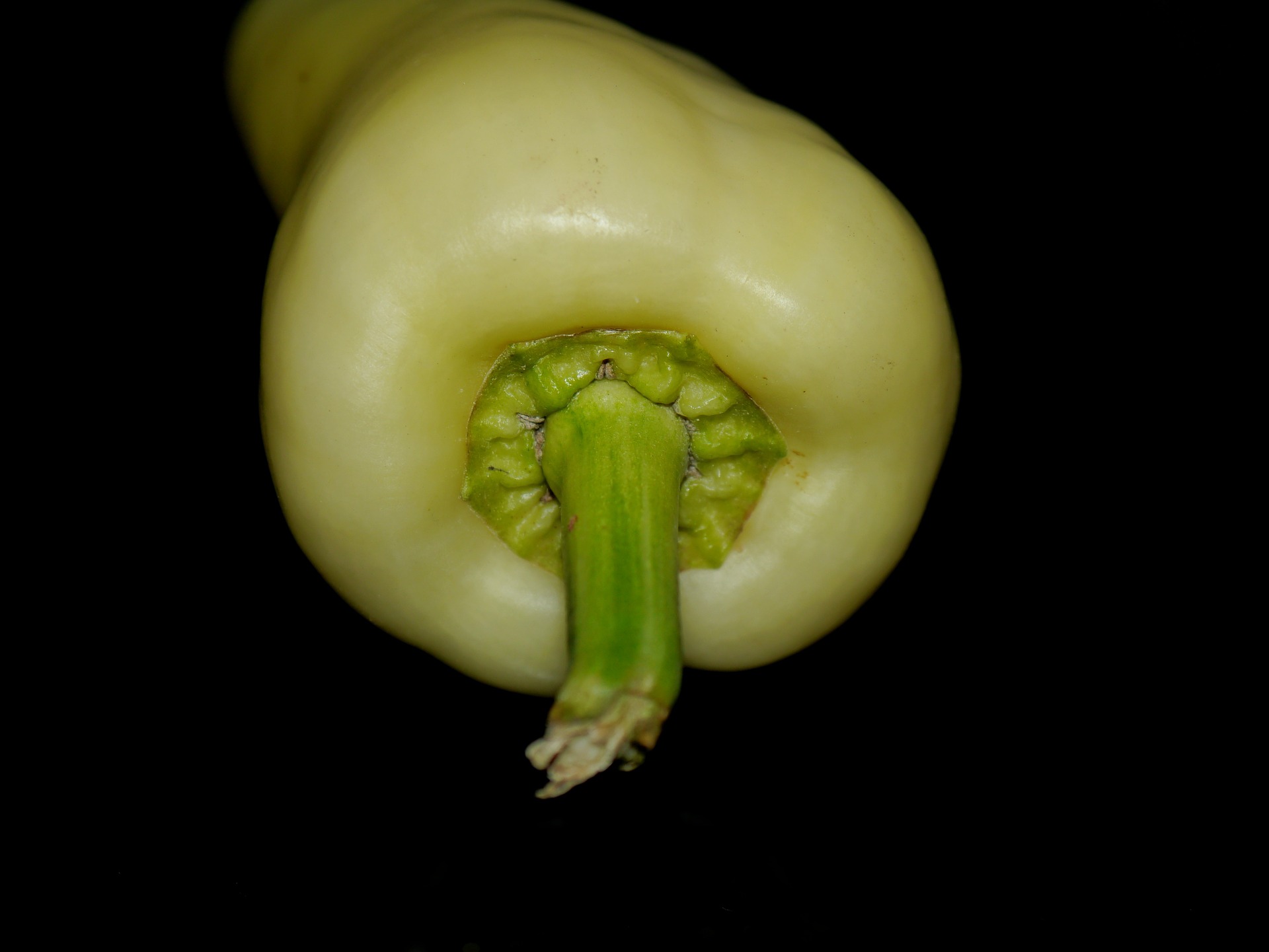 Papryka igołomska – uprawy odmian papryki